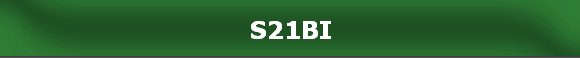 S21BI